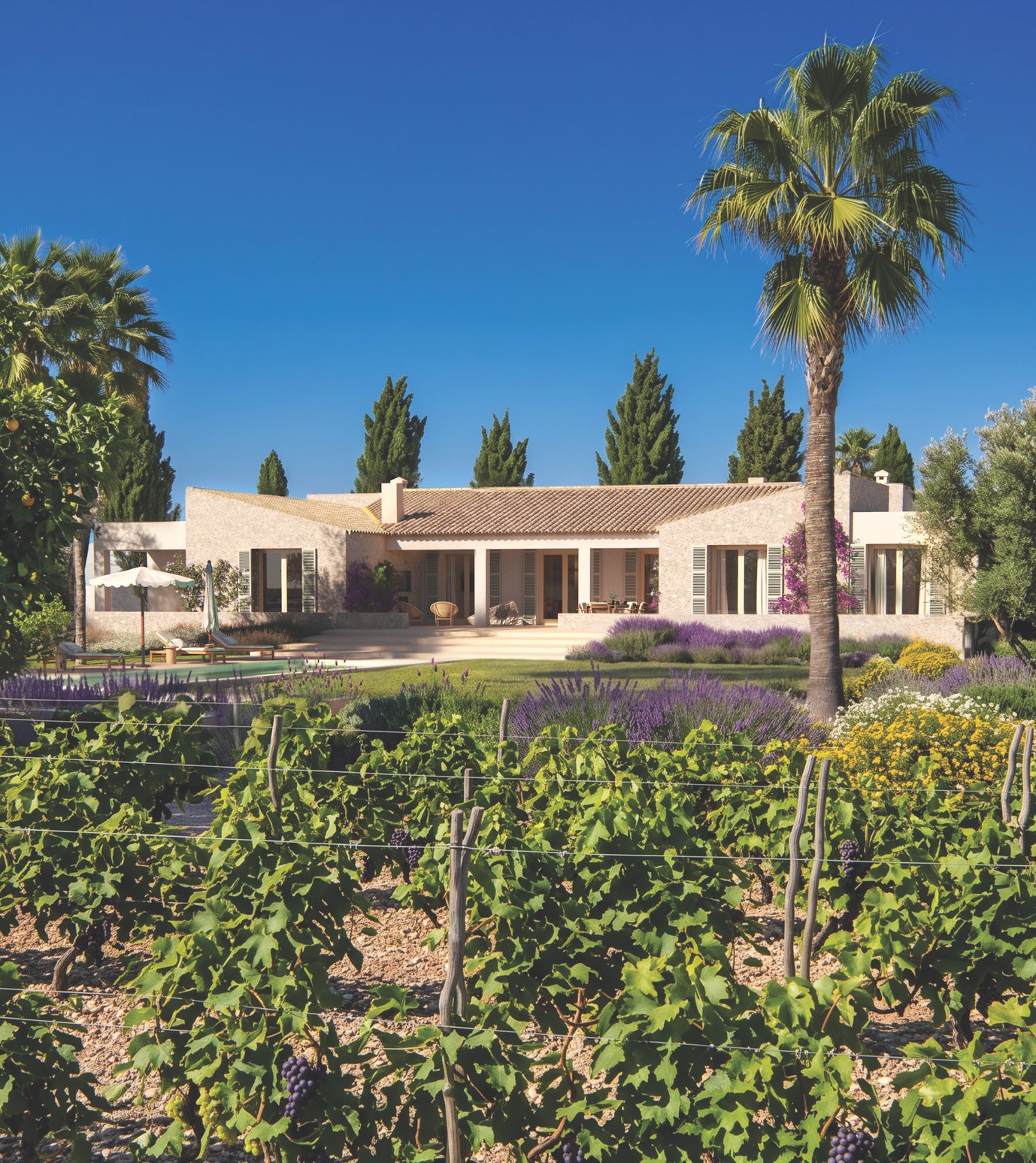 La villa vista desde el viñedo, con palmeras y cipreses